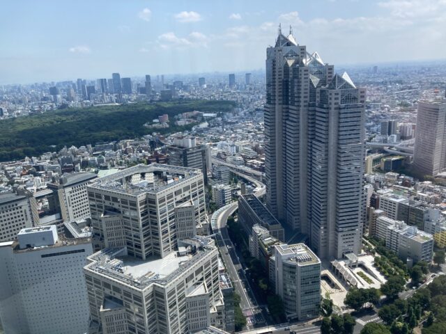 東京都庁南展望室からの景色(南側)