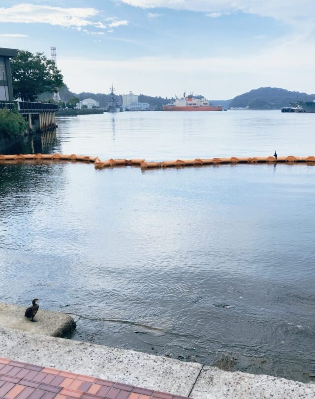 渚のアデリーヌ / リチャード・クレイダーマン（Ballade Pour Adeline / Richard Clayderman）